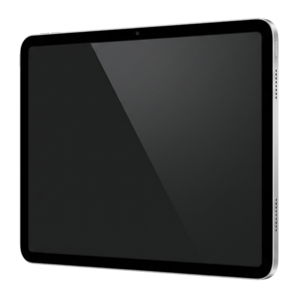 Apple iPad